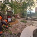El Ayuntamiento reabre los parques municipales excepto Martínez Olivencia y la Pinada Galvis