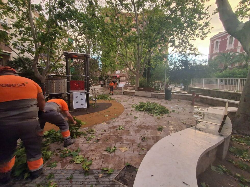 El Ayuntamiento reabre los parques municipales excepto Martínez Olivencia y la Pinada Galvis