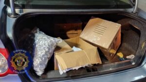 La Policía Local de Villena detiene a un hombre con más de 4,5 kg de marihuana en su coche
